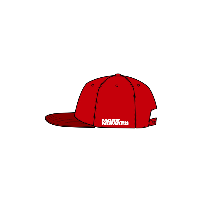 PRE-ORDER  |  Midvisor Cap 