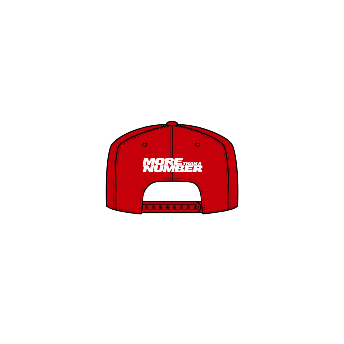 PRE-ORDER  |  Midvisor Cap 